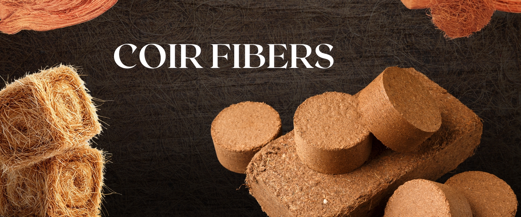 Banner Image-best business providers